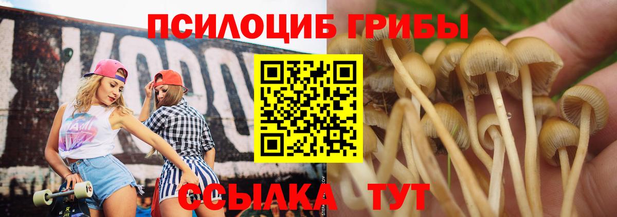 Псилоцибиновые грибы Cubensis  Вход с VPN  Златоуст 
